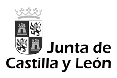 Junta de Castilla y León