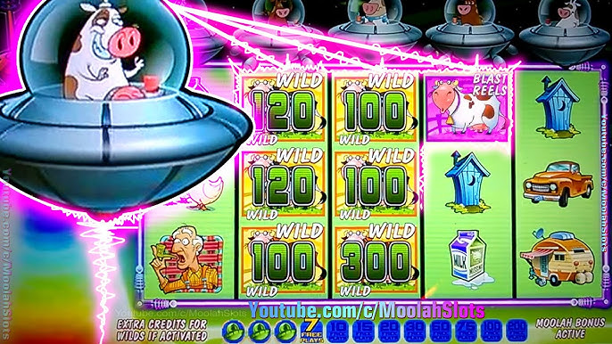 zen casino no deposit bonus