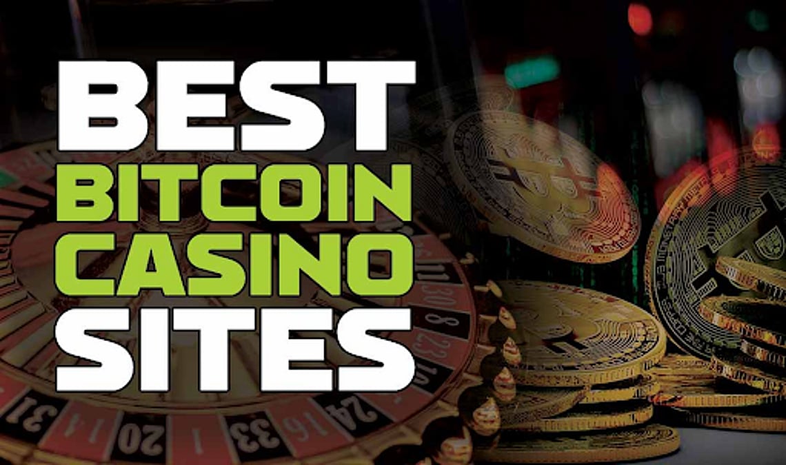 casino dingo no deposit bonus codes
