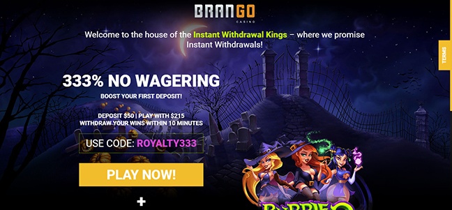 Xon bet agent login
