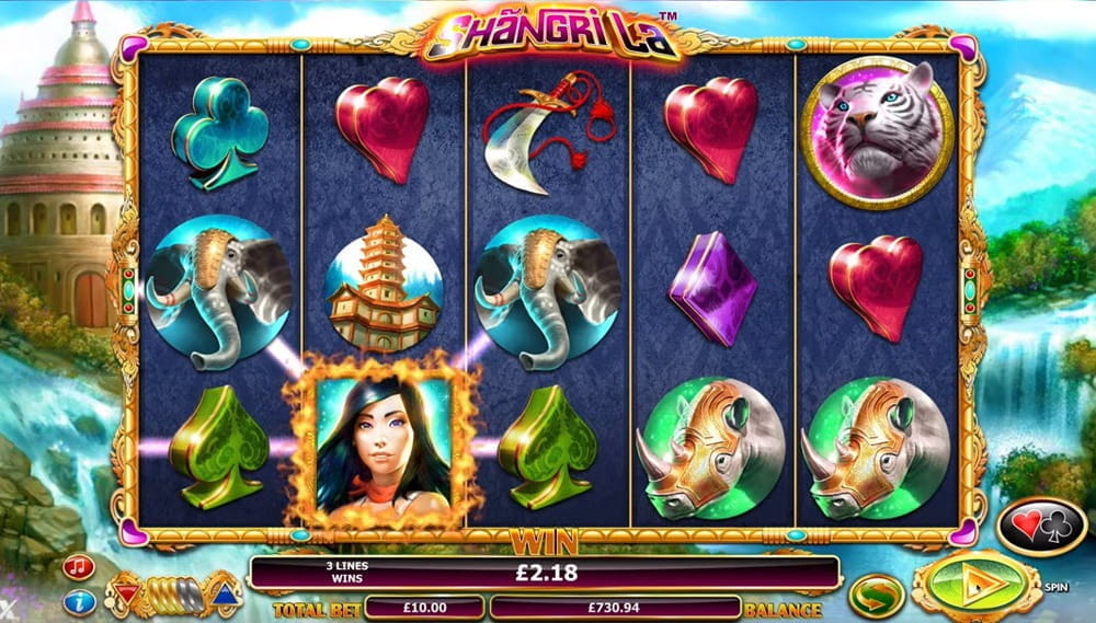 Bestes Online -Casino shogun