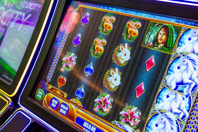 no deposit bonus for cool cat casino