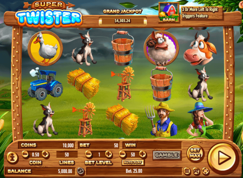 Wild Dice