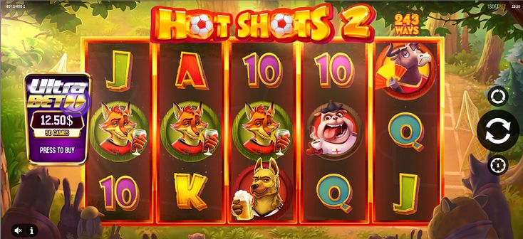 reel rush video slot