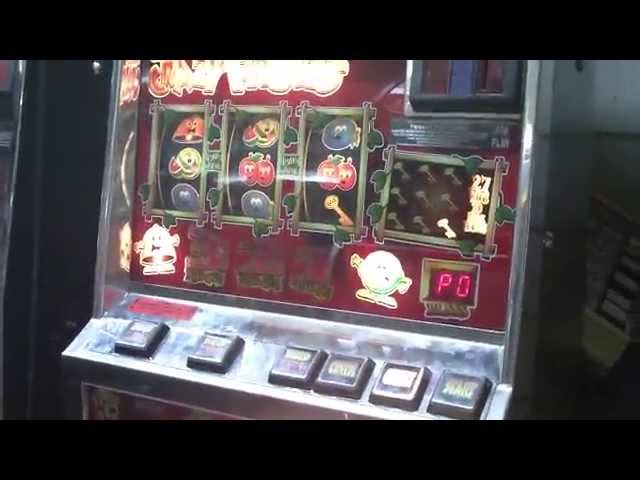 Platinum Reels 100 free spins no deposit bonus 2024