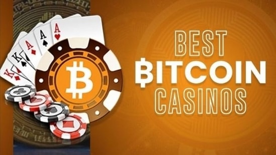 no deposit bonus house of pokies