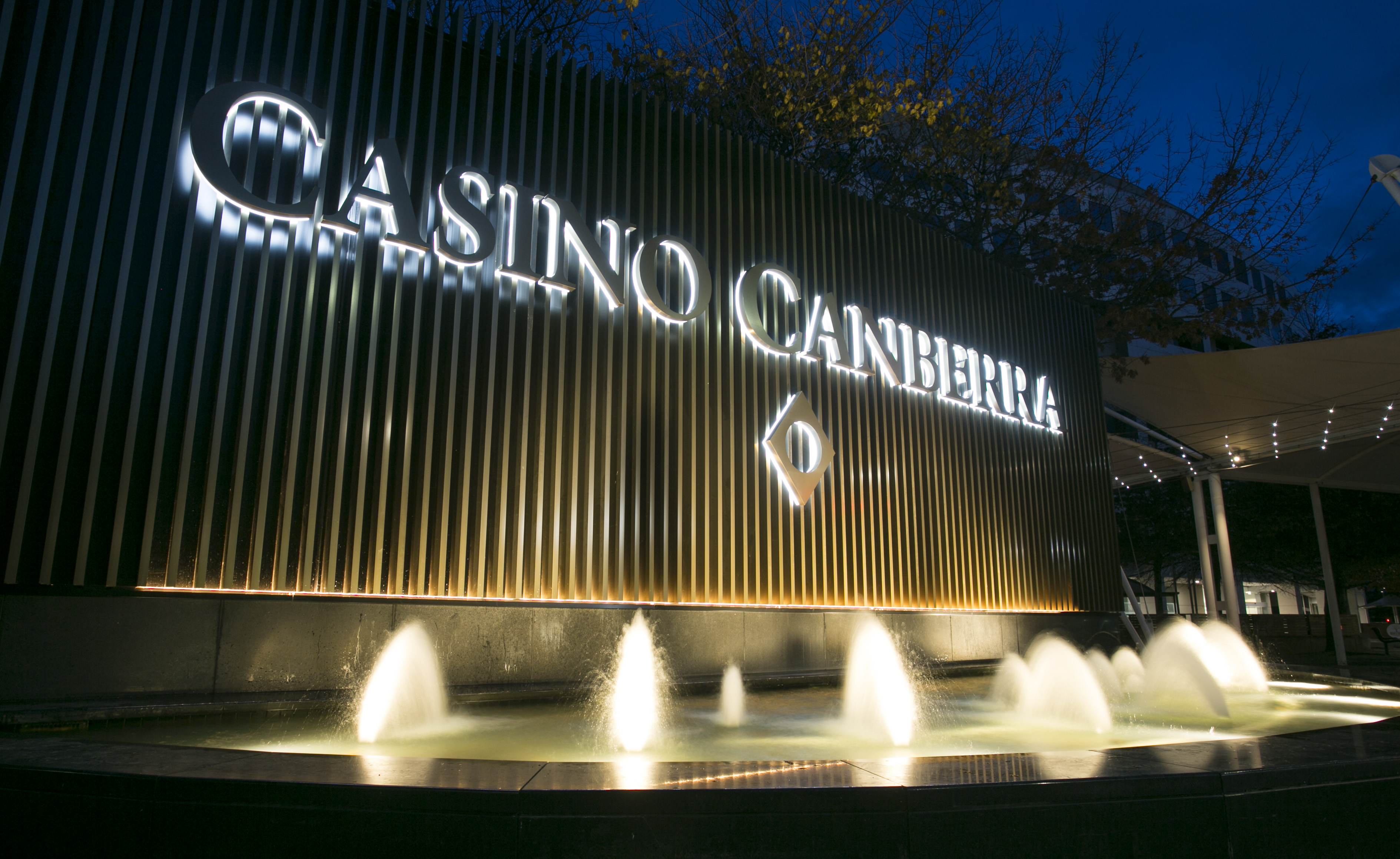 jogo de bingo online gratis cassino brasil