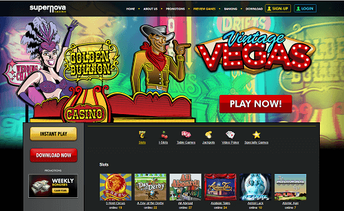 play wildfruits slot online no download