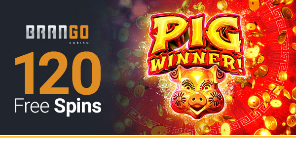 500 free spins on registration no deposit