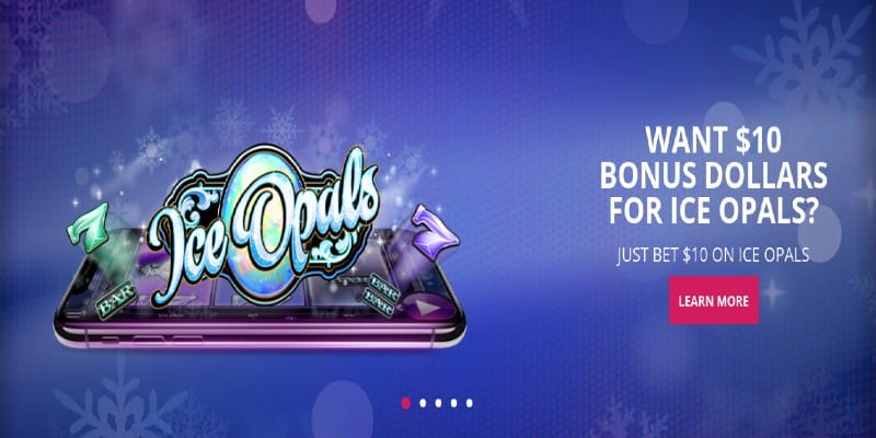 7bit casino app