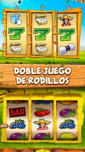 lost island casino en línea