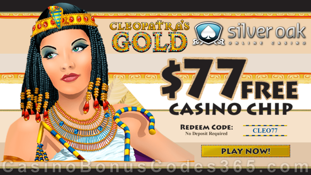 b casino no deposit bonus