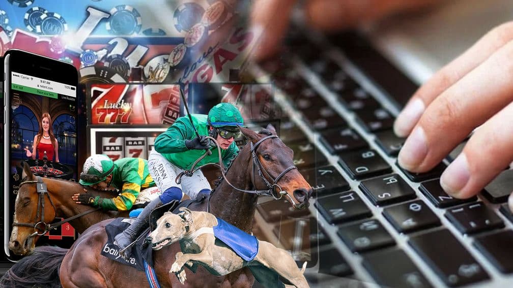 Spielautomaten online Casino Dingo