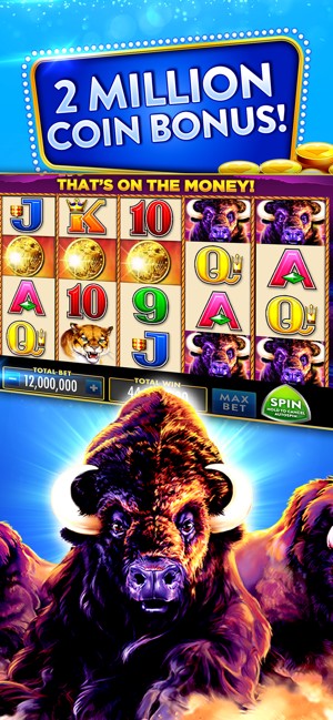 100 Cats video slot