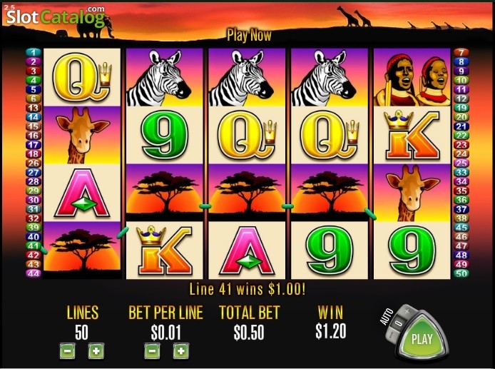 dolphin cash casino