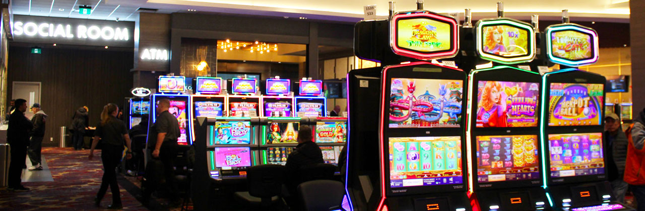 no bonus no deposit