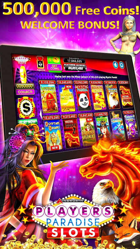 NetBet Casino