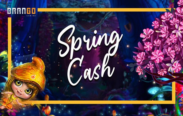 z casino