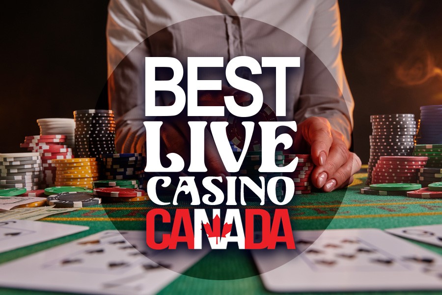 online casino with no deposit bonus